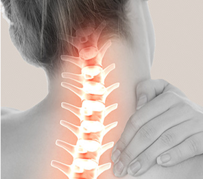 neck