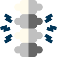 spine